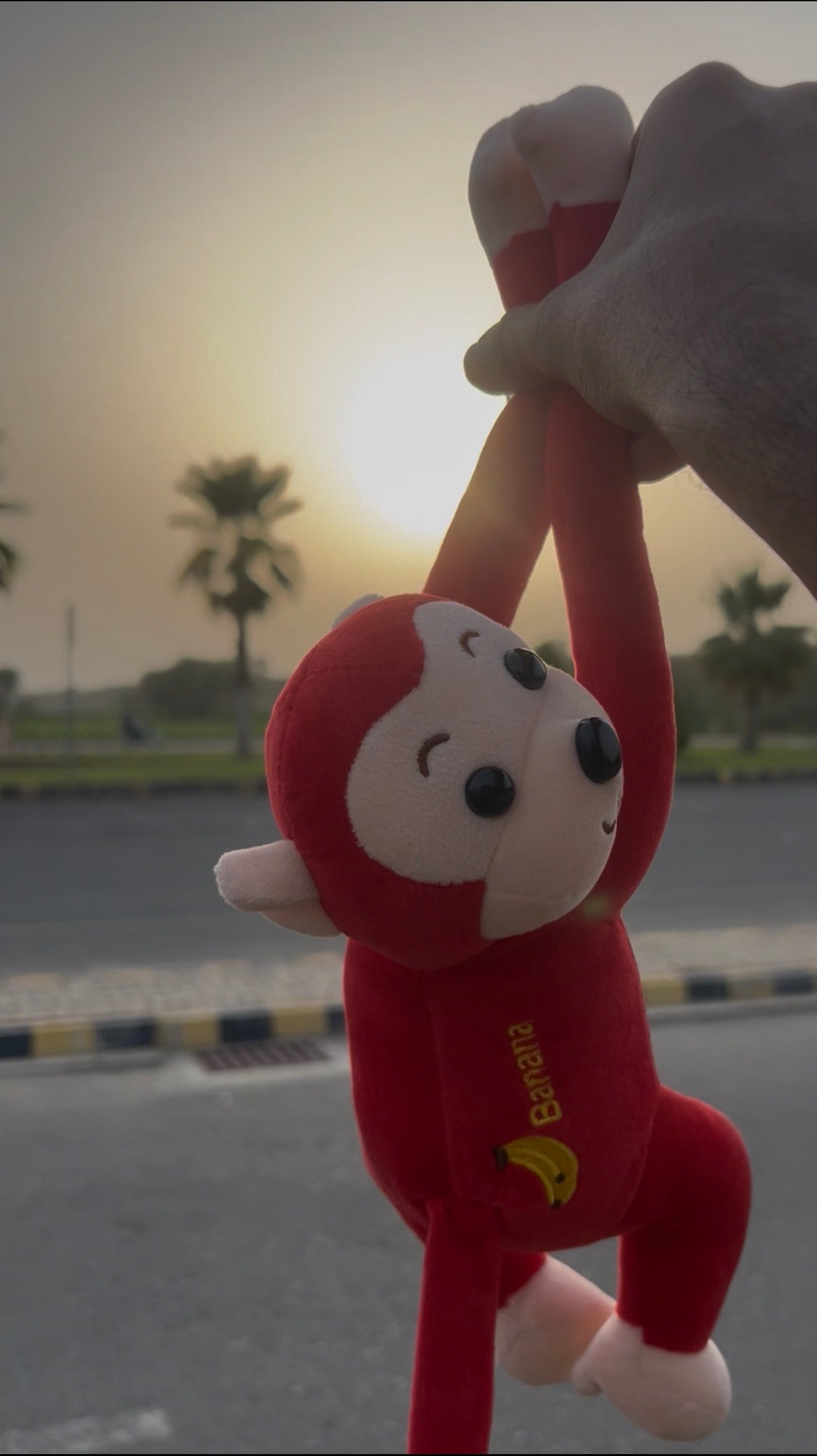 Long Arm Monkey Toy