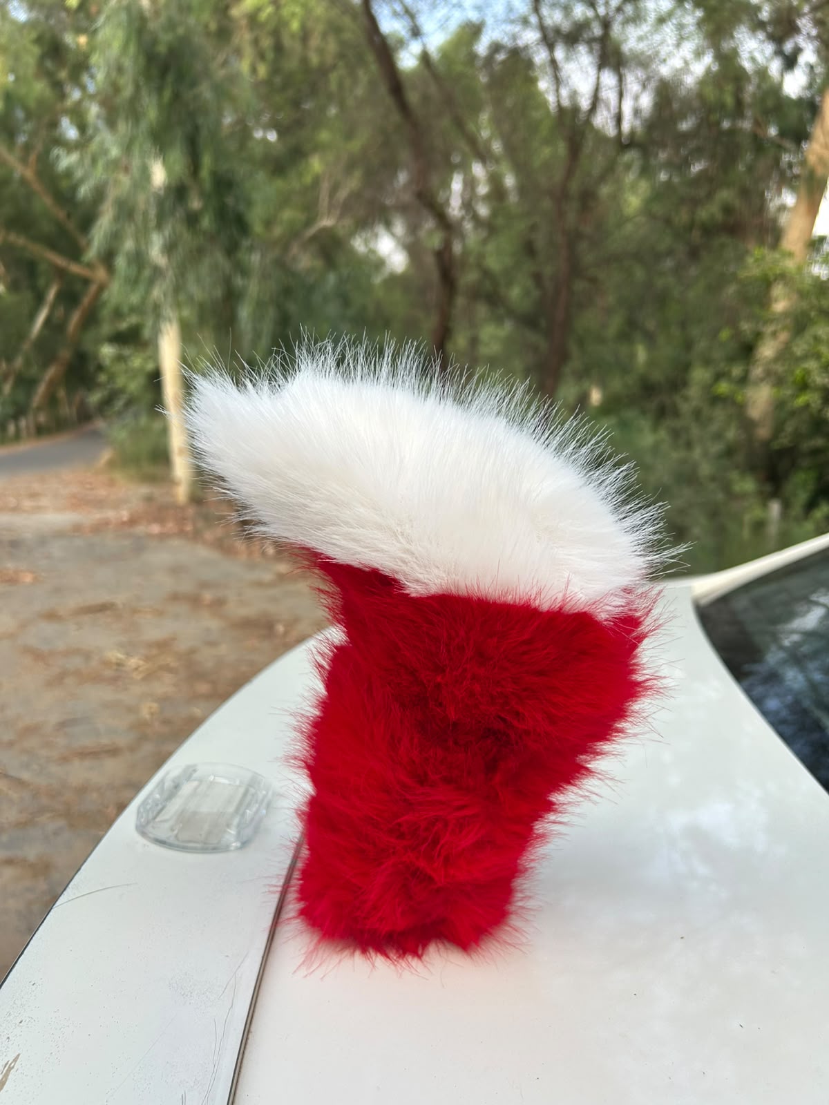 Tail Rush – Electric Wagging Fur Tail for Car & Bike | Voice & Remote Control