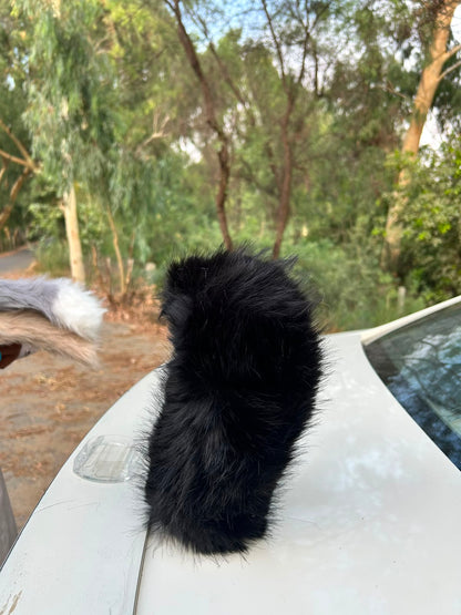 Tail Rush – Electric Wagging Fur Tail for Car & Bike | Voice & Remote Control