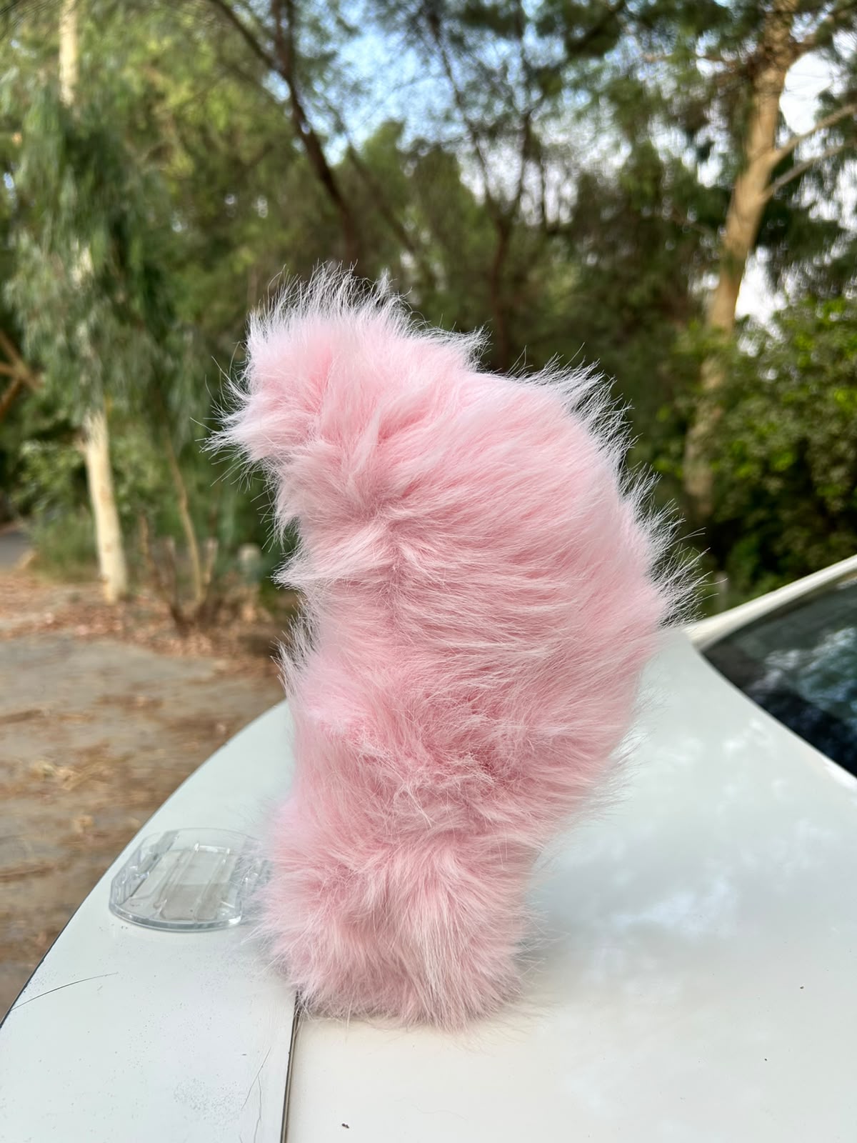 Tail Rush – Electric Wagging Fur Tail for Car & Bike | Voice & Remote Control