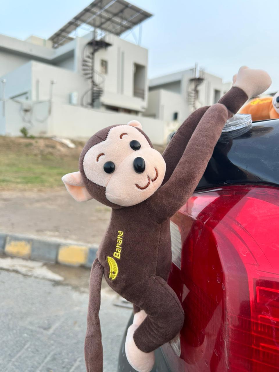 Long Arm Monkey Toy