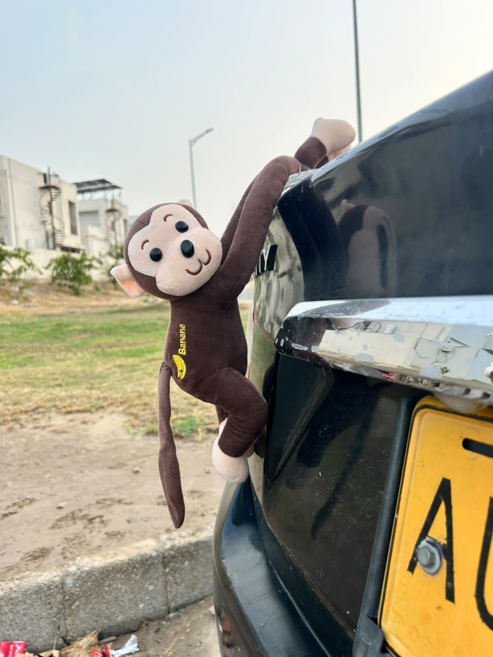 Long Arm Monkey Toy